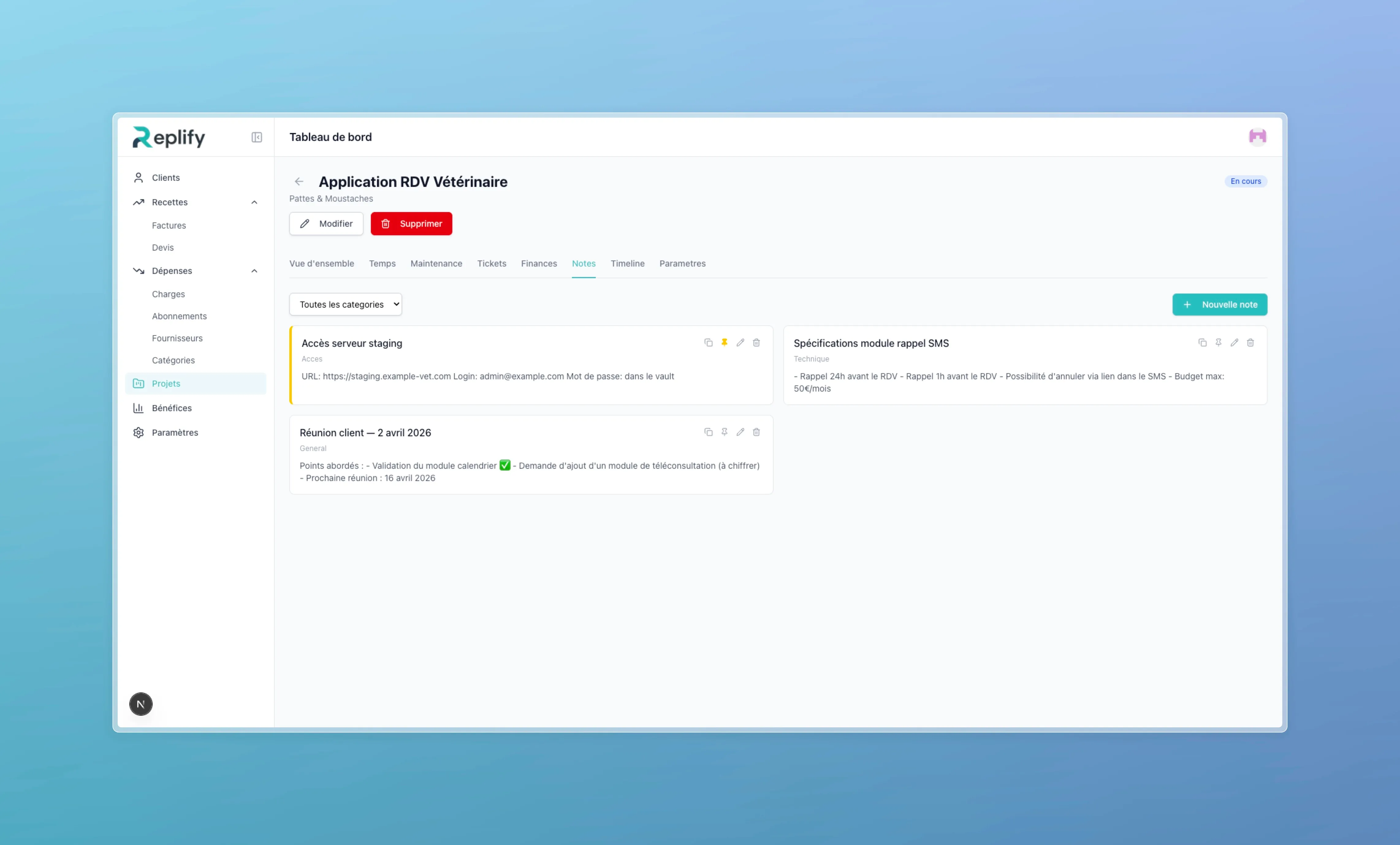 Project notes page with categorized cards (access, technical, general) and pinned notes
