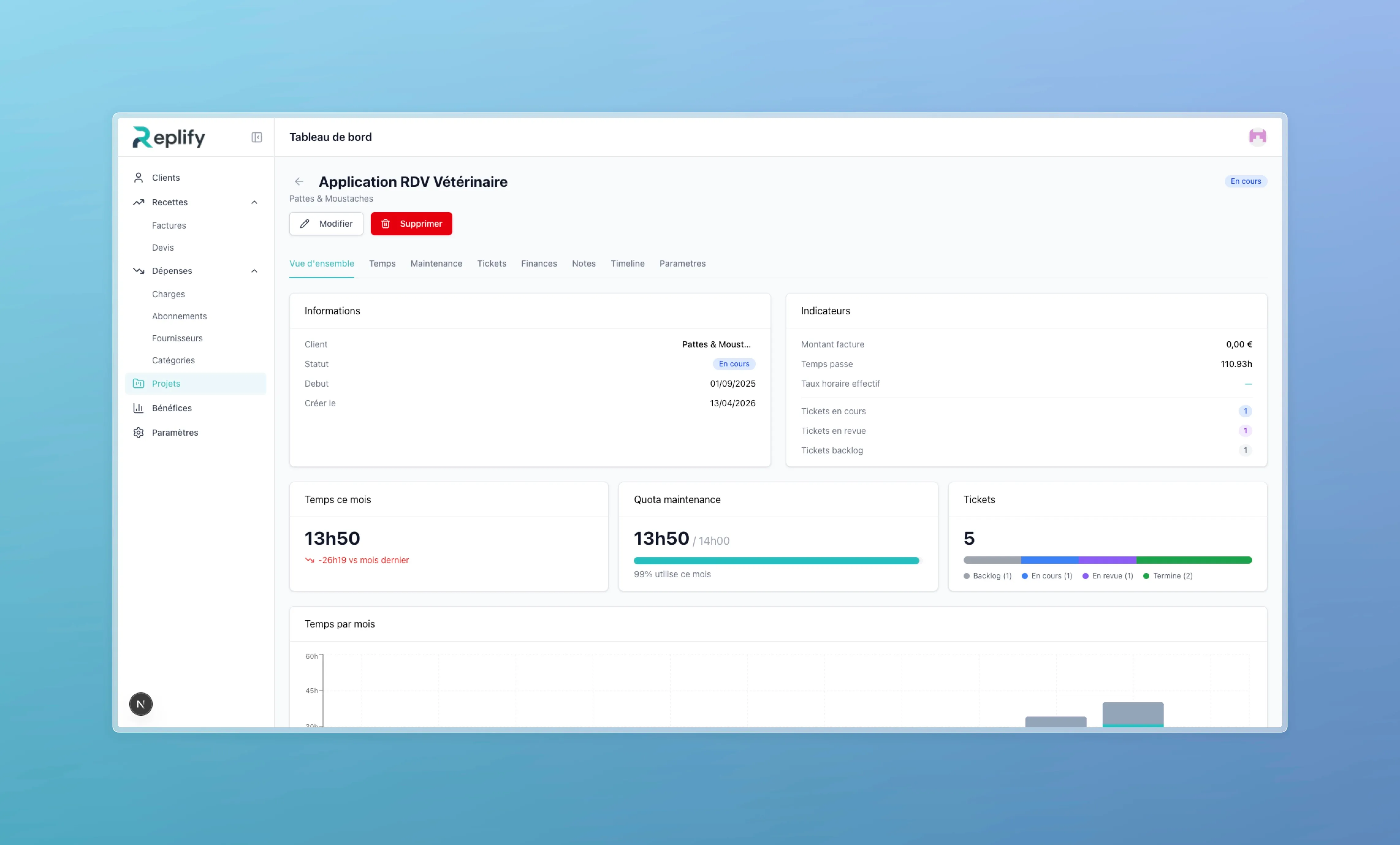 Project page with general information, financial indicators, time spent, effective hourly rate, maintenance quota, and ticket distribution